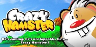 Crazy Hamster