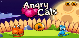 Angry cats
