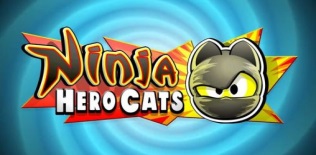 Ninja Hero Cats