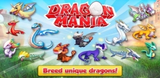 Dragon mania