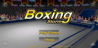 9 Super KO Boxing 2
