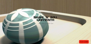 Shake 'n' Roll Labyrinth