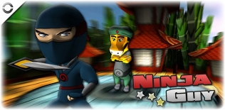 Ninja guy