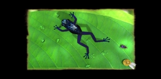 Ancient Frog