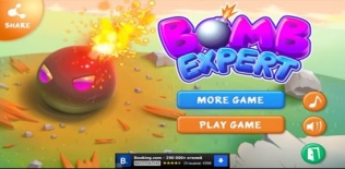 Bomb Expert