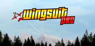 Wingsuit