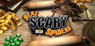Real scary spiders