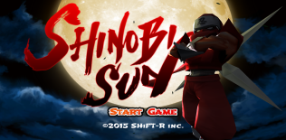Shinobi Sun Trial: NinjaFighter