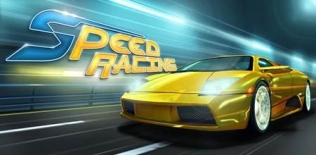 Speed ​​Racing 3D