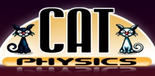 Cat physics