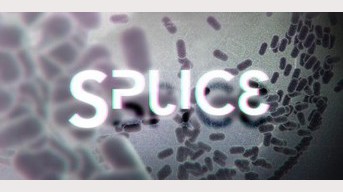 Splice