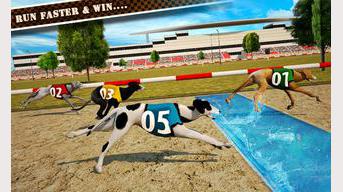 Dog Race & Stunts 2016