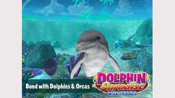 Dolphin paradise. Wild friends